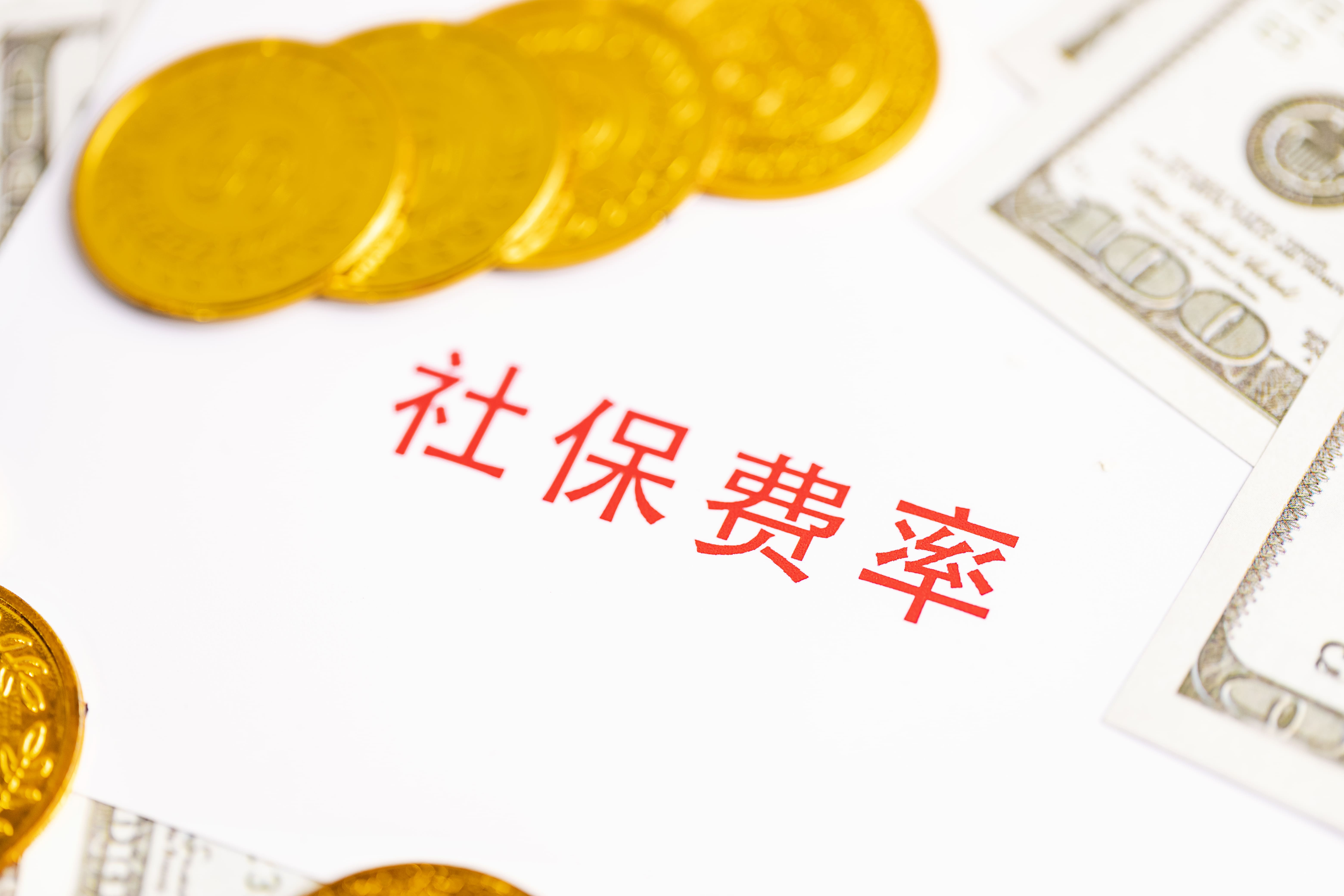 社会保険料代納とは何か？(图1)